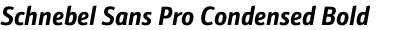 Schnebel Sans Pro Condensed Bold Italic